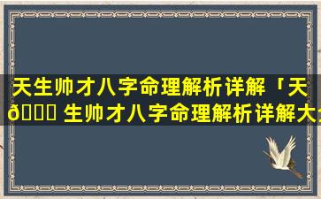 天生帅才八字命理解析详解「天 🕊 生帅才八字命理解析详解大全」